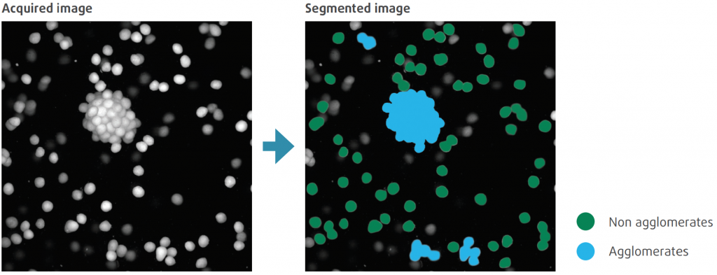 The visual inspection system uses advanced computer vision algorithms to detect single and agglomerated pellets.