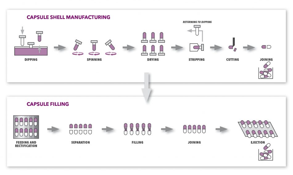 capsule manufacturing process