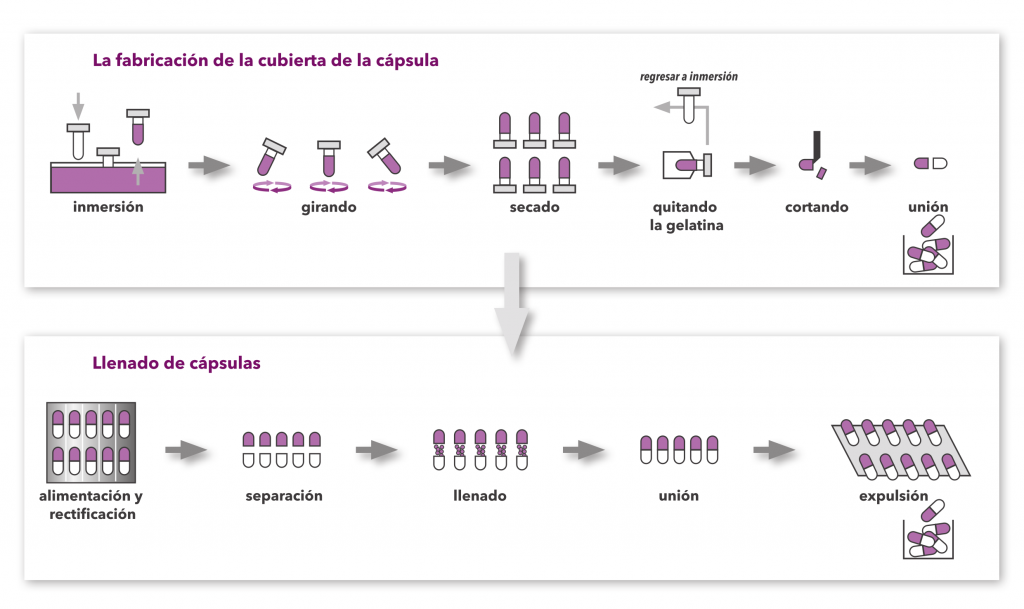 Cápsulas vacías, tamaño 00, 100 piezas Cápsula vacía de gelatina dura, cápsula  vacía, estuche para pastillas