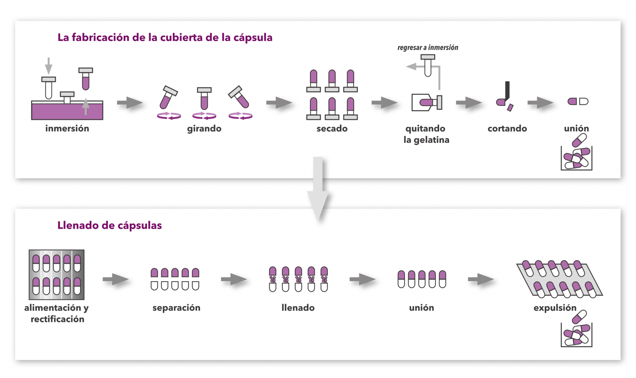 RAZONES DE LOS DEFECTOS MÁS COMUNES DE LAS CÁPSULAS | Sensum - Computer ...