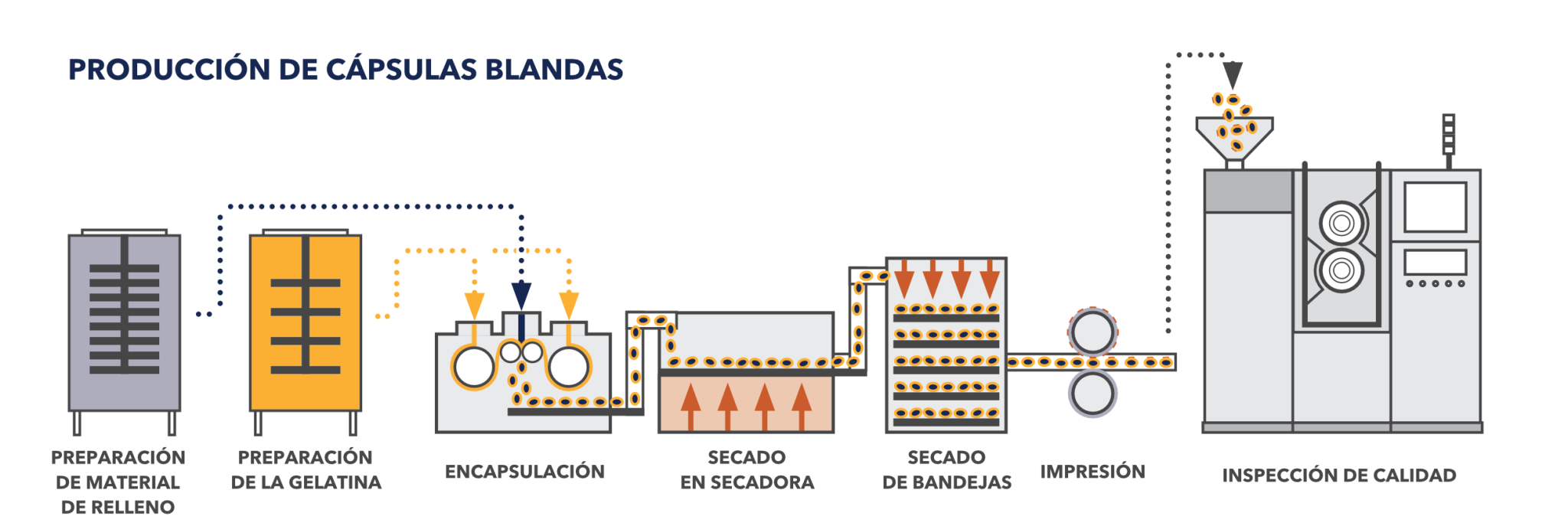 RAZONES DE LOS DEFECTOS MÁS COMUNES DE LAS CÁPSULAS BLANDAS | Sensum ...